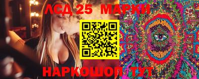гашик Краснознаменск