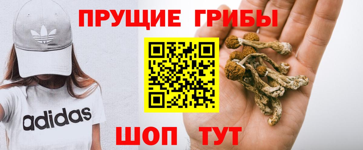 что такое   Вход с VPN  Тихвин  Галлюциногенные грибы Psilocybine cubensis  Галлюциногенные грибы ЛСД 